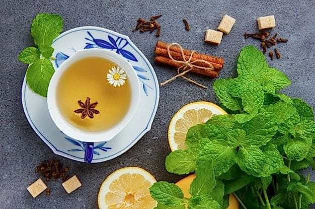 Papatya Bitkisi Nedir?